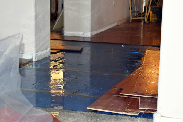 Professional Basement Flood Cleanup technician working in Mattituck, NY